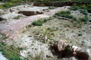 Vista parcial de los restos arqueológicos
